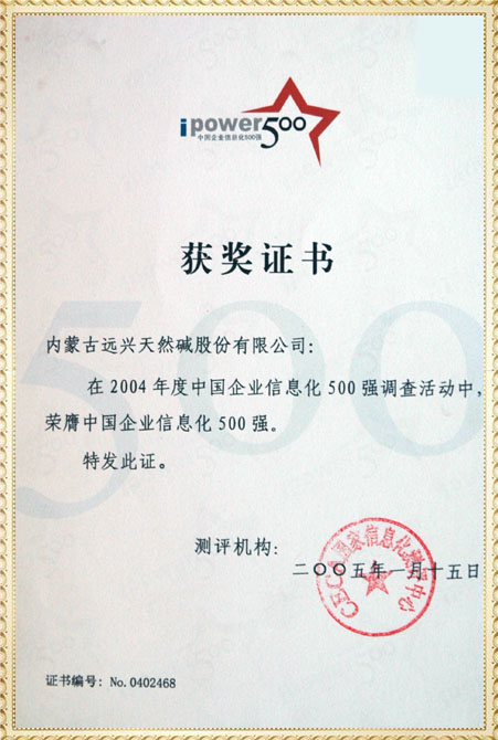 遠興2004年中國企業信息化500強獲獎證書