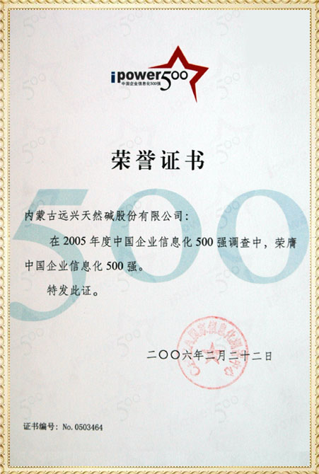 遠興2005年中國企業信息化500強獲獎證書