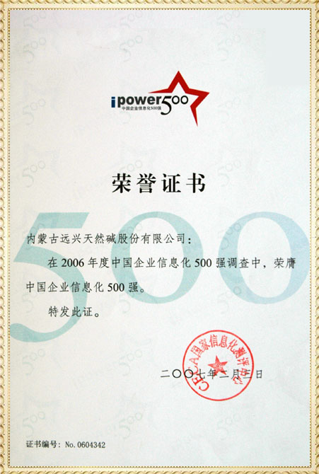遠興2006年中國企業信息化500強獲獎證書